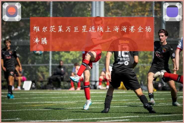 维尔茨莱万巨星连线上海海港全场沸腾