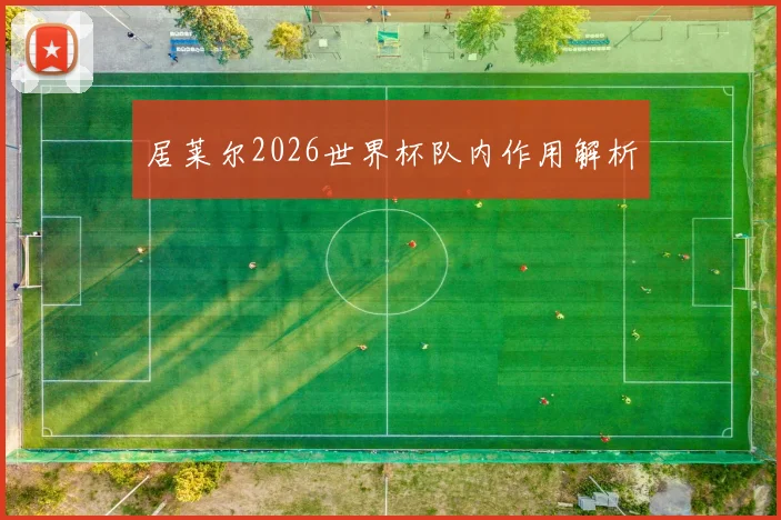 居莱尔2026世界杯队内作用解析