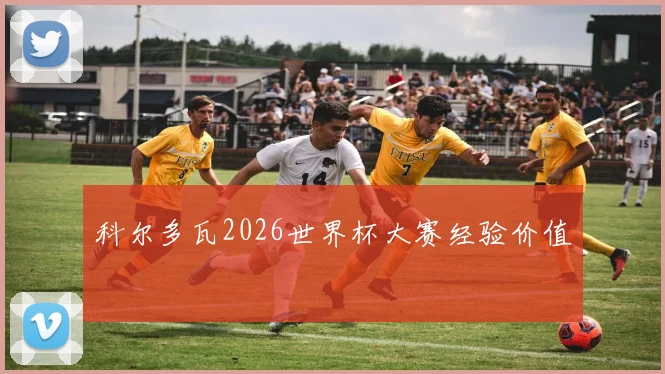 科尔多瓦2026世界杯大赛经验价值