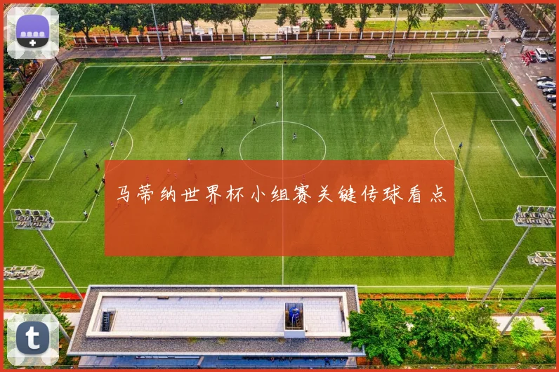 马蒂纳世界杯小组赛关键传球看点