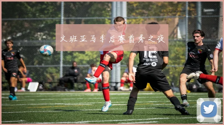文班亚马季后赛首秀之夜
