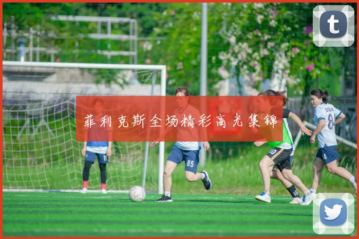 菲利克斯全场精彩高光集锦