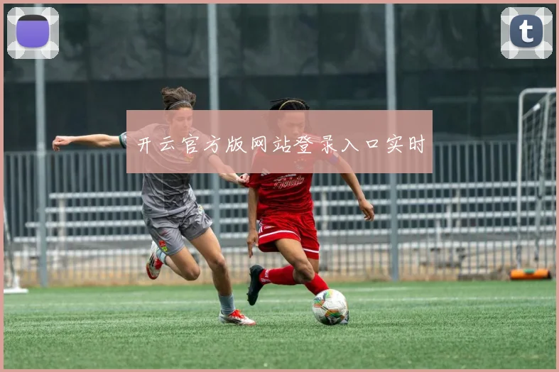 开云官方版网站登录入口实时