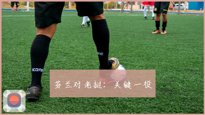 芬兰对老挝：关键一役