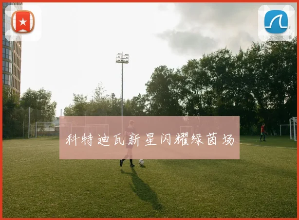 科特迪瓦新星闪耀绿茵场