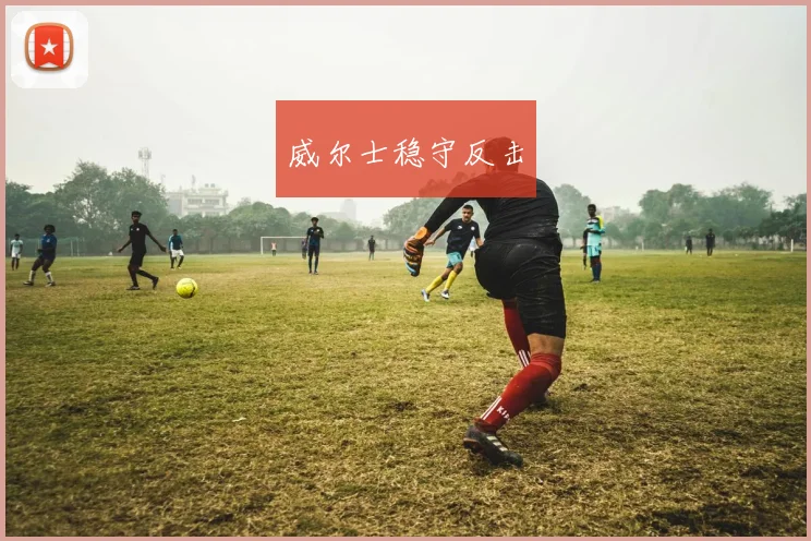 威尔士稳守反击