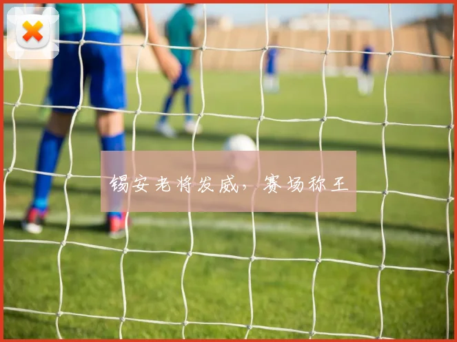 锡安老将发威,赛场称王