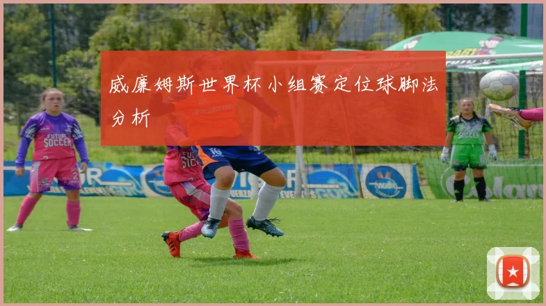 威廉姆斯世界杯小组赛定位球脚法分析