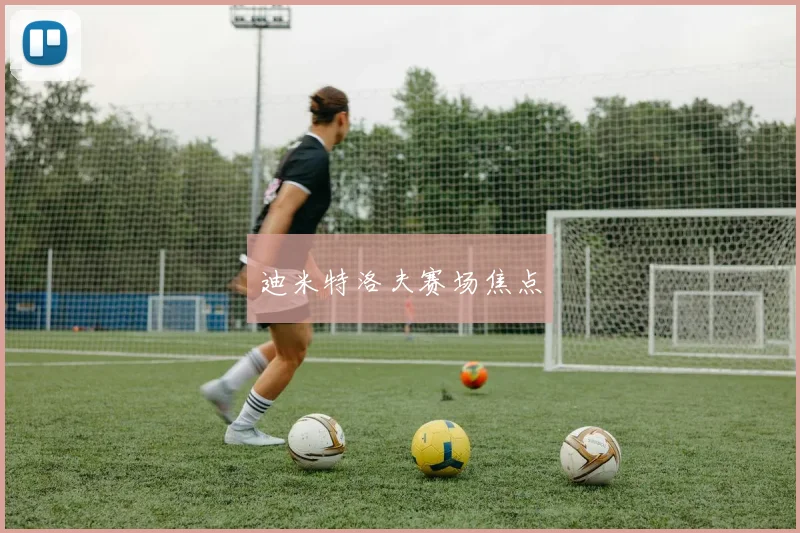 迪米特洛夫赛场焦点