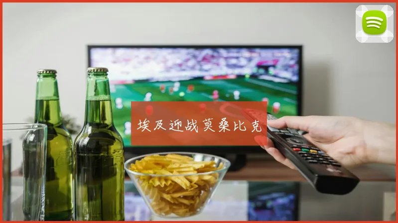 埃及迎战莫桑比克