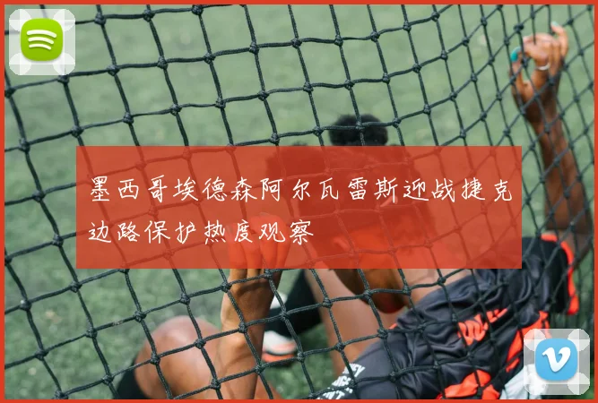 墨西哥埃德森阿尔瓦雷斯迎战捷克边路保护热度观察