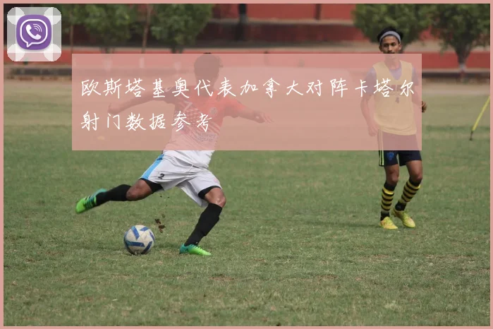 欧斯塔基奥代表加拿大对阵卡塔尔射门数据参考