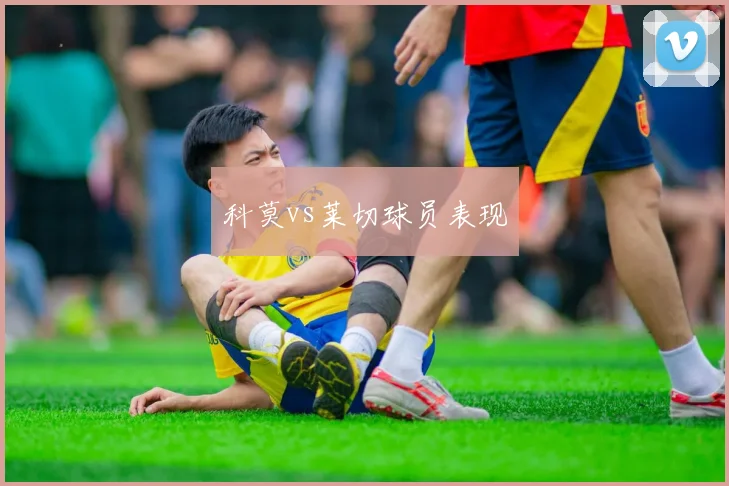 科莫vs莱切球员表现