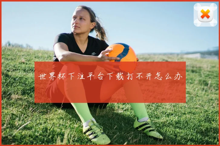 世界杯下注平台下载打不开怎么办
