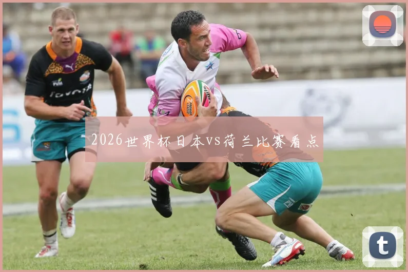 2026世界杯日本vs荷兰比赛看点