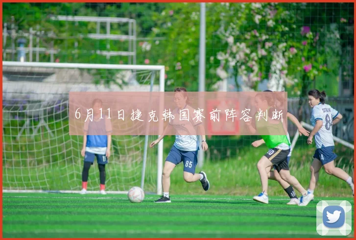 6月11日捷克韩国赛前阵容判断