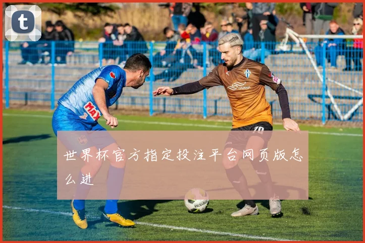世界杯官方指定投注平台网页版怎么进
